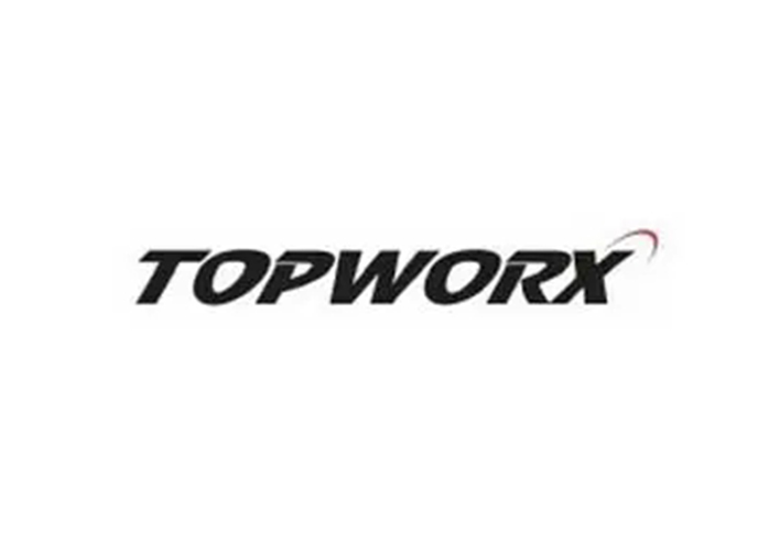 美國(guó)TOPWORX代理